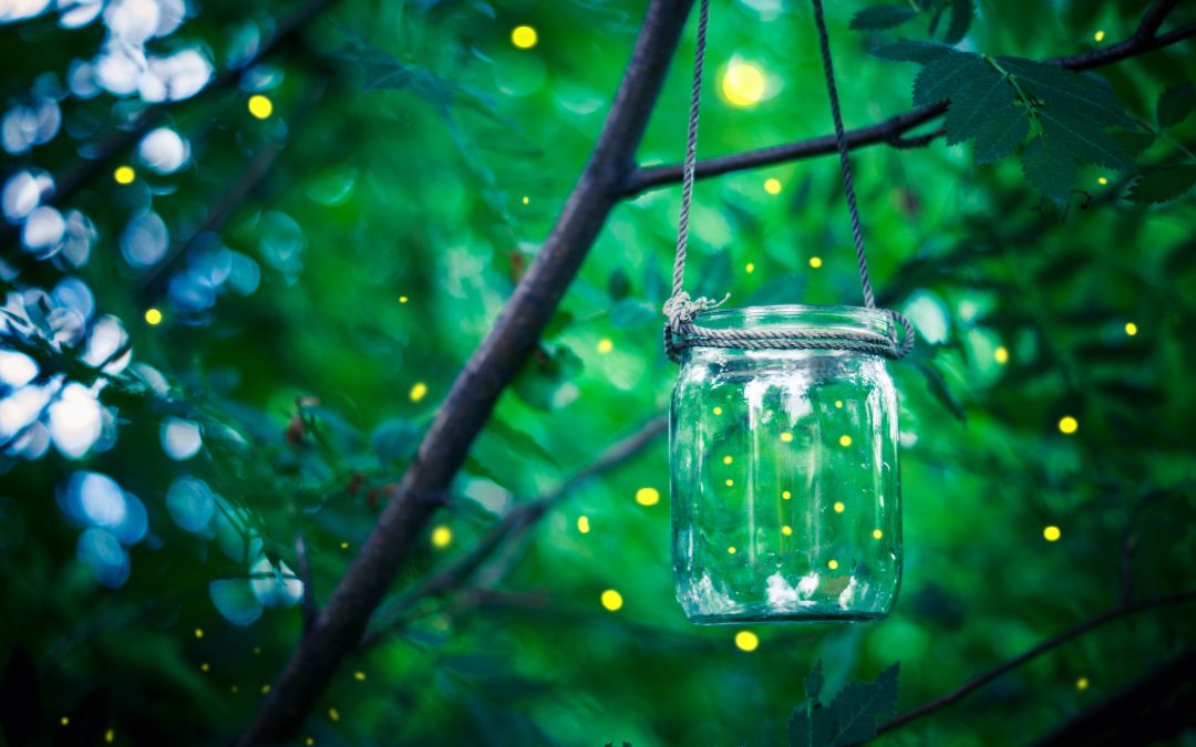 Incompatible Species: Sharing Thoughts On Living in the Moment